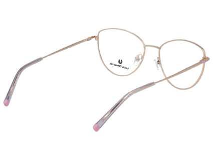 Louis Delacroix 73322H Col. 1