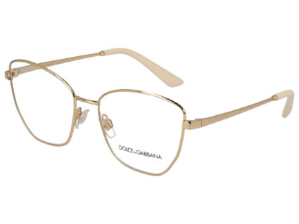 Dolce & Gabbana DG 1340 02