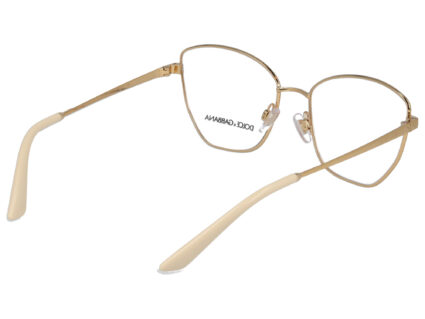 Dolce & Gabbana DG 1340 02