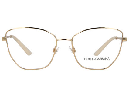 Dolce & Gabbana DG 1340 02