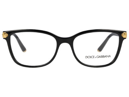 Dolce & Gabbana DG 5026 501