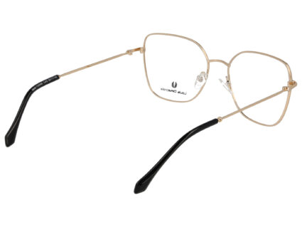 Louis Delacroix 73306E 2