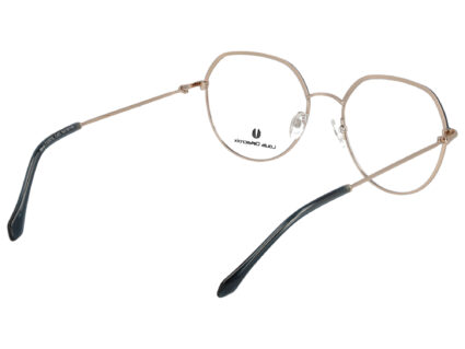 Louis Delacroix 73307E 2