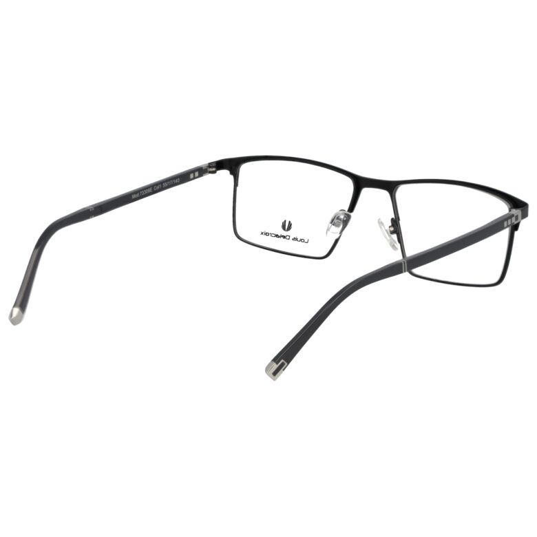 Louis Delacroix 73309E 1