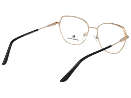 Louis Delacroix 73354J-T 1